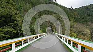 The road bridge with forest mountain at Wuling farm in taichung city, Taiwan.