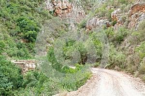 Road and bridge in the Prince Alfred Pass