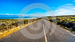 The road from Cape Point to Cape of Good Hope