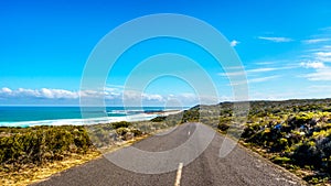 The road from Cape Point to Cape of Good Hope