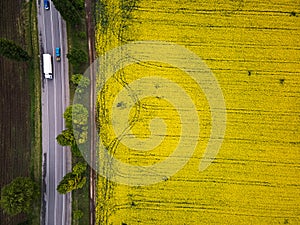 Road with cars through field aerial view of spring rapeseed flower field