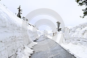 Road carved from the heavy snow on Leh Manali highway leading to Rohtang pass near Manali Himachal Pradesh