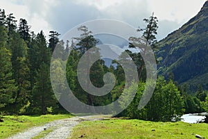 Road in Caucasus valley