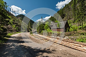 Road in Chocholowska Valley in Tatra range Poland