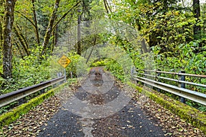 A Road Closed Ahead sign on the bridge over Keller Creek in the Siuslaw National Forest, Oregon, USA