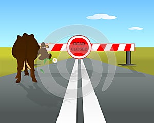 Road closed and cow, cdr vector