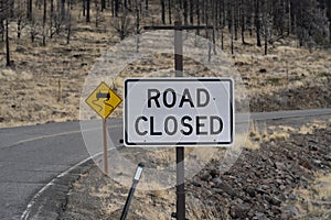 Road Closed Sign with Curve and Burnt Forest in Background