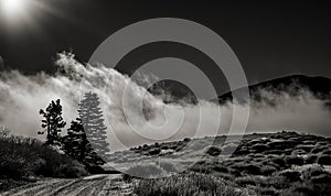 Road into the clouds in Wrightwood California