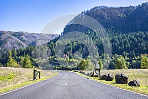 Road in Columbia River Gorge Nature Reserve with Mountains and Trees