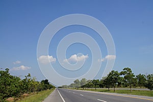 Road conditions, trees, roadside, sky, beautiful white clouds