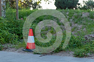 road cone in the forest