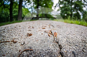 Miniature construction worker with drill hammer on crack in asphalt