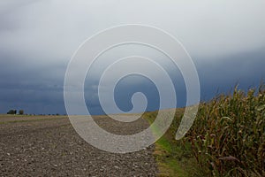 A road in a corn field. The sky before the rain. Beautiful landscape. Background. Spring day. Background.