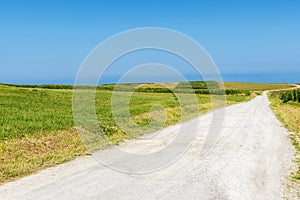 Road between corn fields and meadows by the sea