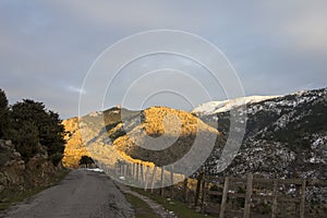 Road in Corsica