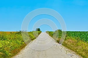 Road in the Countryside