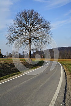 Road in countryside