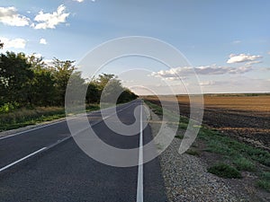 The road in the countryside