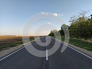 The road in the countryside