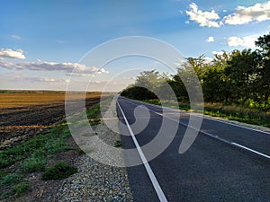 The road in the countryside