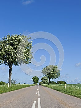 Road in countryside