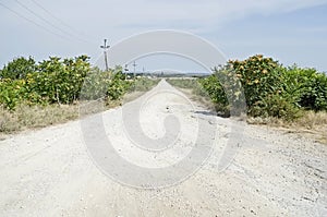 Road in the countryside