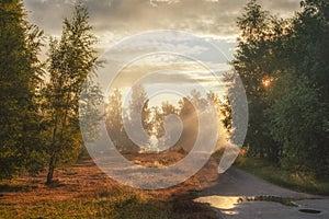 Road in the countryside in the early morning with sunbeams near the fall