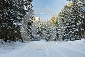 Road covered in snow through a winter forest