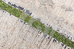 Road crack, surface of concrete driveway with crack and grass