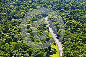 Road crossing the forest. Mata Atlantica preserved with an aerial view. Environmental protection, ecology, clean air. photo