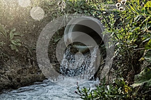 Road culvert in the fall