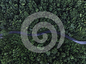 road curve construction up to mountain, Autumn Tones of Aerial top view forest tree