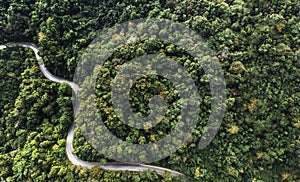 road curve construction up to mountain, Autumn Tones of Aerial top view forest tree