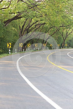 The road curve with street signs reflex light.