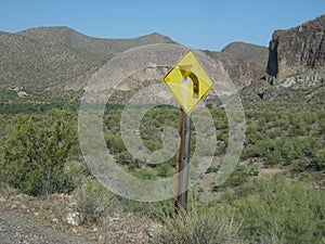 Road Curves Caution Sign in Arizona Desert