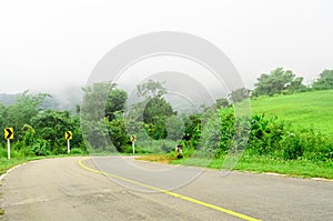 The road curves downhill with green nature park