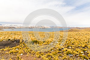 Road Cusco- Puno,Lake Titicaca, Peru,South America. Sacred Valley of the Incas. Spectacular nature of snowy mountains