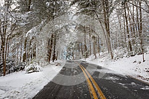 Road cuts through forest recently covered in snow