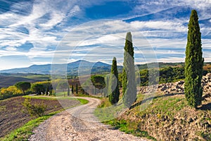 Road with cypress trees in Tuscany