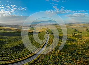 Road with cypress trees in the Val d orcia (Orcia Valley) near Pienza in Tuscany, Italy - cypress trees along the famous white