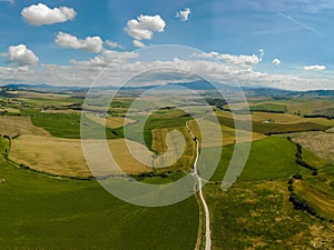 Road with cypress trees in the Val d orcia (Orcia Valley) near Pienza in Tuscany, Italy - cypress trees along the famous white