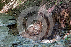 Road damage and destroyed blank roots after a flood