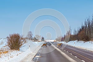 Roe deers crossing a road