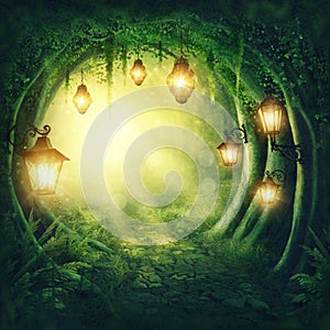 Road in a dark forest