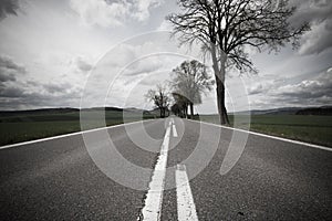 Road through the dark landscape