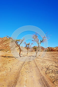 Road in desert