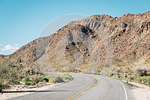 Road in the desert, in Joshua Tree National Park, California