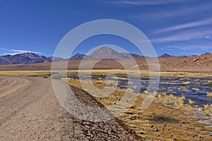 Road in the desert next to lush pond and volcanoes.