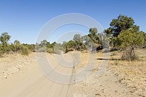 Road in the desert of sand