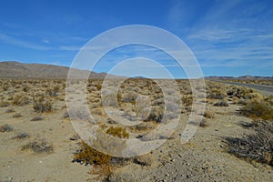 Road and desert scene Southern California